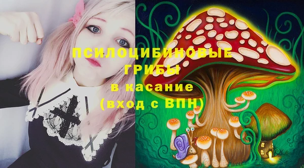 ГАЛЛЮЦИНОГЕННЫЕ ГРИБЫ Волоколамск