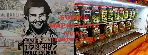 крисы Володарск