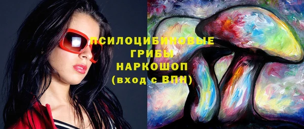 ГАЛЛЮЦИНОГЕННЫЕ ГРИБЫ Волоколамск