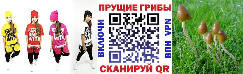 маркетплейс клад  Саранск  Псилоцибиновые грибы мухоморы  купить закладку 